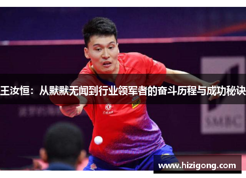 王汝恒：从默默无闻到行业领军者的奋斗历程与成功秘诀