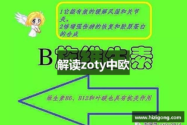解读zoty中欧